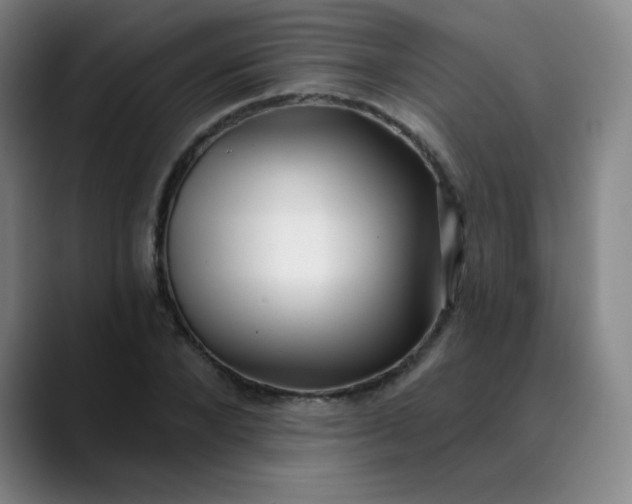 X0000089900880200707121847