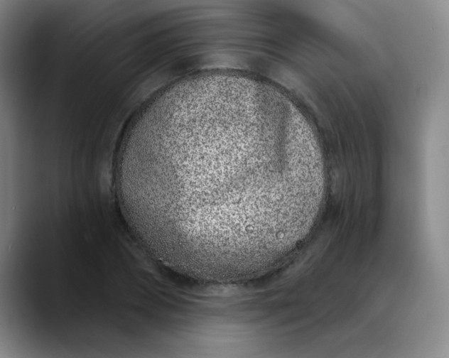 X0000089900882200707121847
