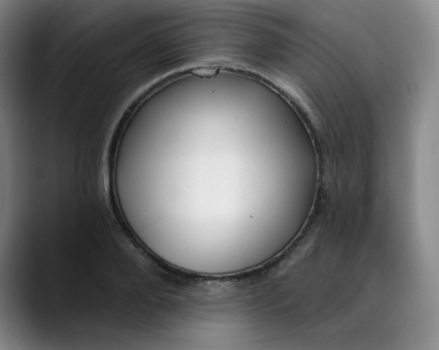 X0000089900888200707121847