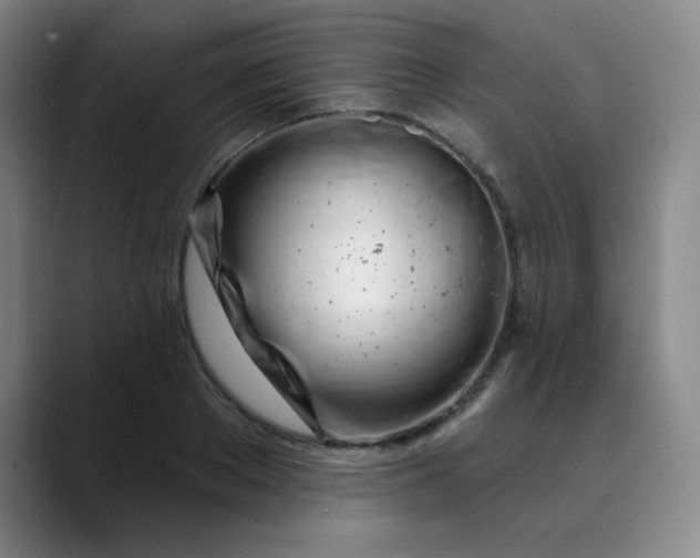 X0000089900889200707121847