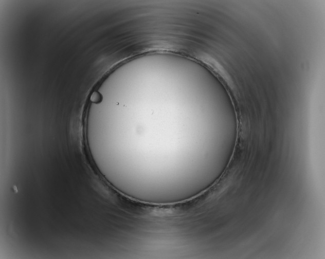 X0000089900890200707121847
