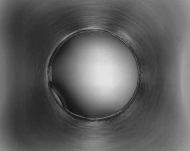 X0000089900892200707121847