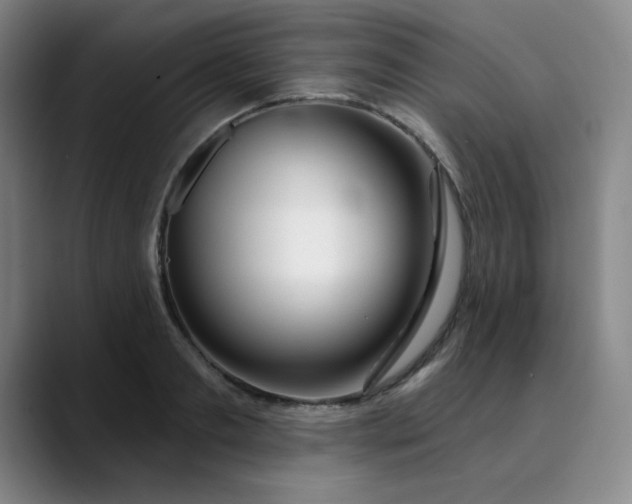 X0000089900893200707121847