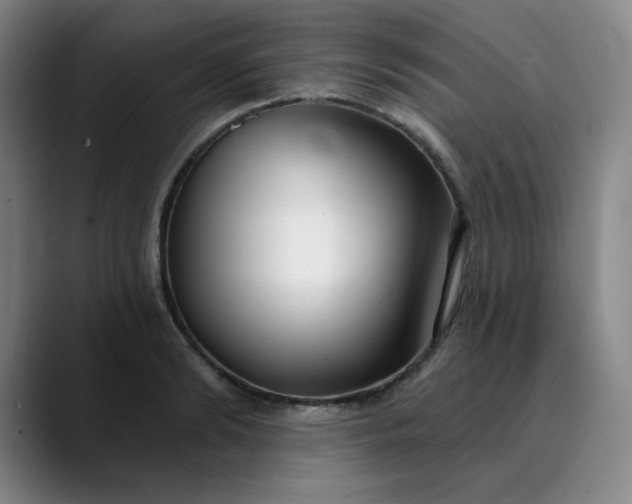 X0000089900894200707121847