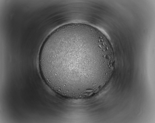 X0000089900895200707121847