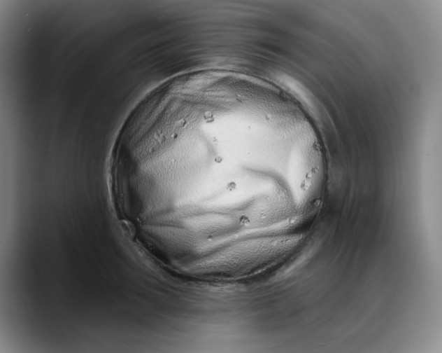 X0000089900899200707121847