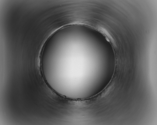 X0000089900900200707121847