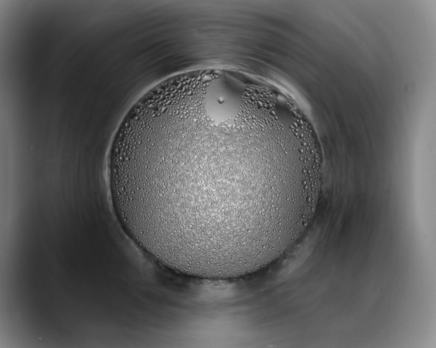 X0000089900907200707121847