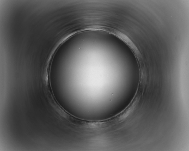 X0000089900908200707121847