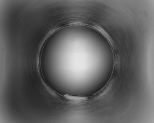X0000089900909200707121847