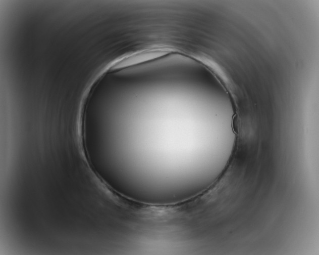 X0000089900910200707121847