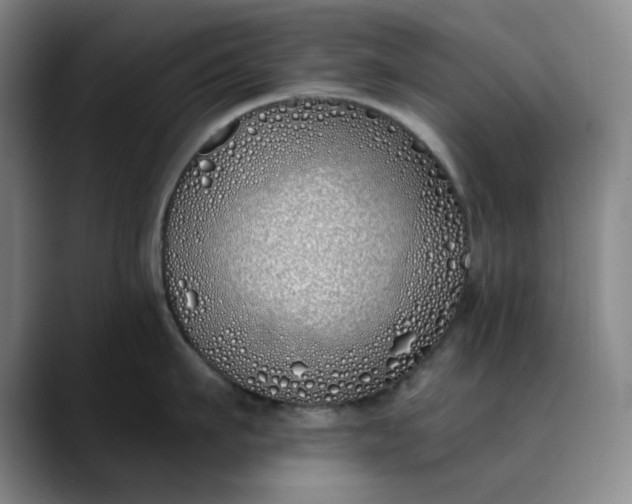 X0000089900911200707121847