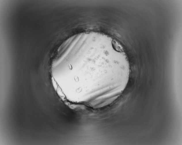 X0000089900913200707121846