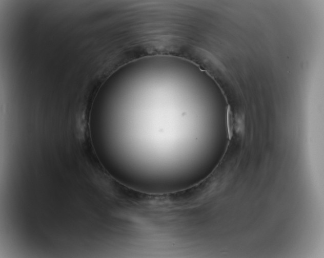 X0000089900915200707121846