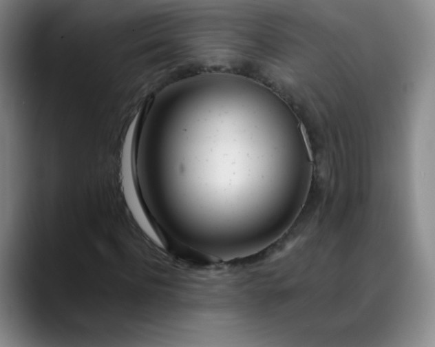 X0000089900916200707121846
