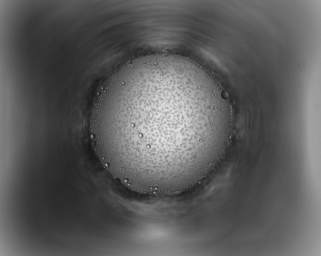 X0000089900917200707121846