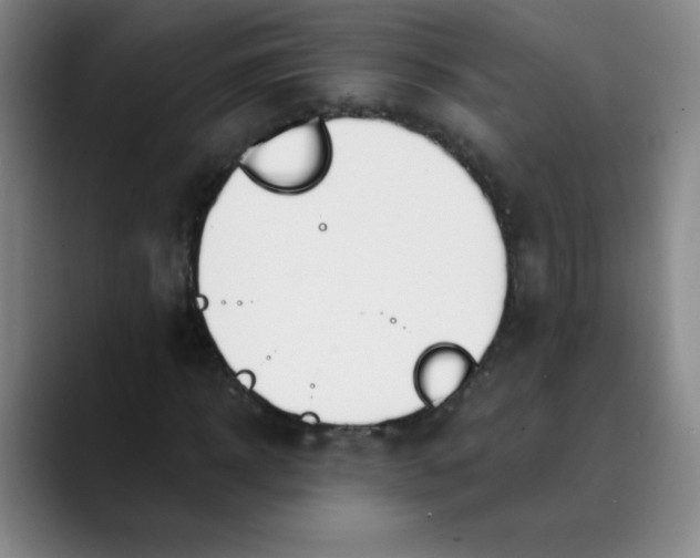 X0000089900918200707121846
