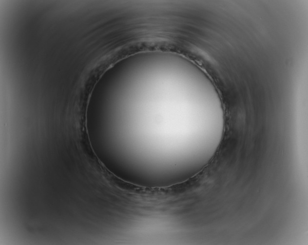 X0000089900919200707121846
