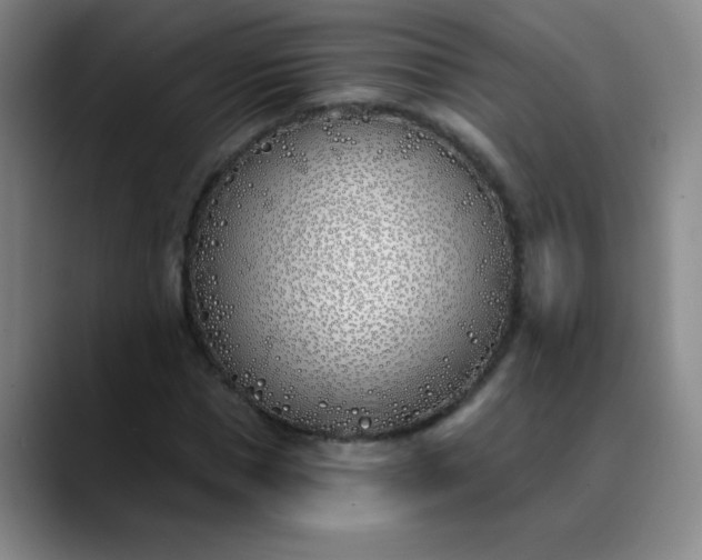 X0000089900921200707121847