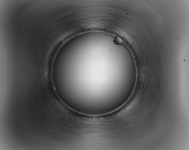 X0000089900922200707121847