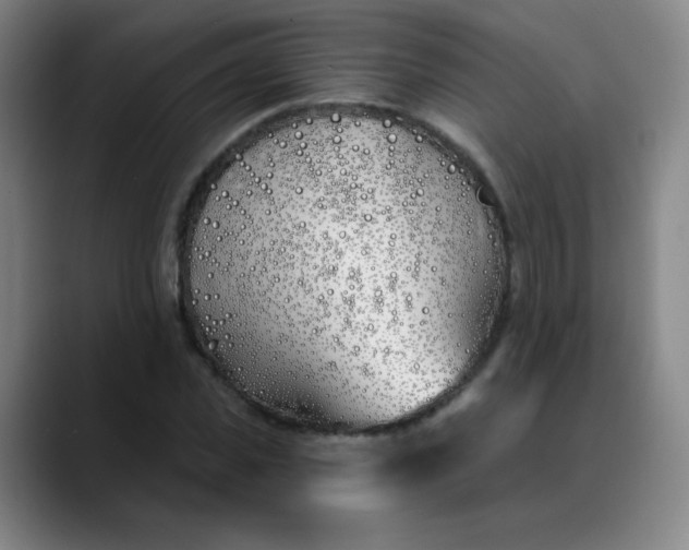 X0000089900925200707121847