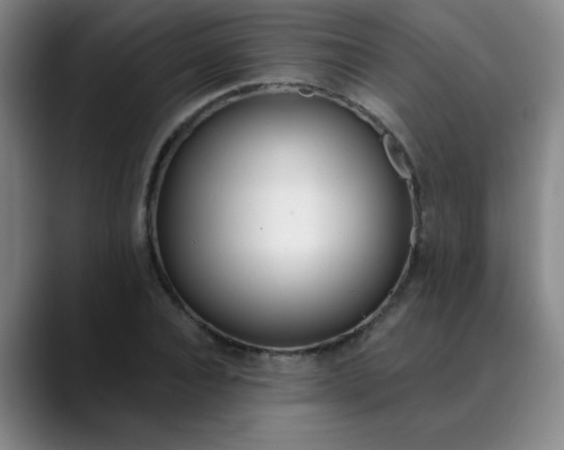X0000089900928200707121847