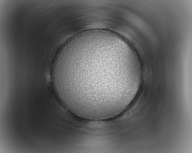 X0000089900929200707121847
