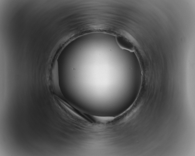 X0000089900930200707121847