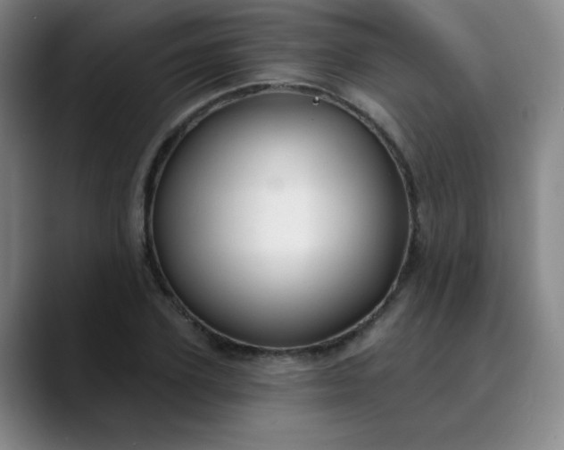X0000089900931200707121847