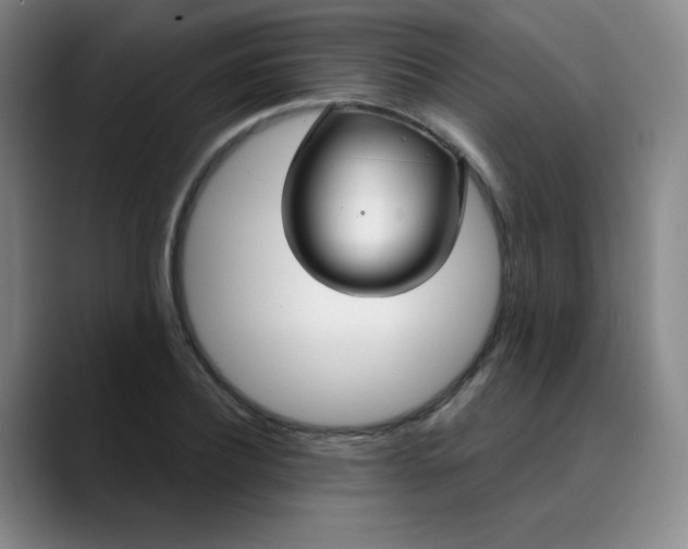 X0000089900932200707121847