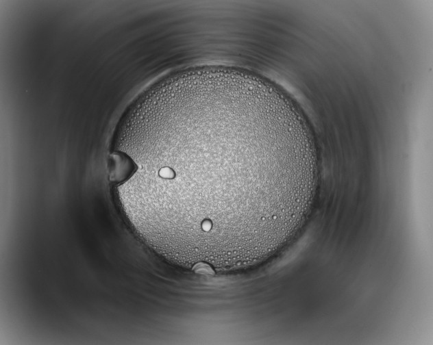 X0000089900933200707121847