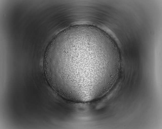 X0000089900937200707121847