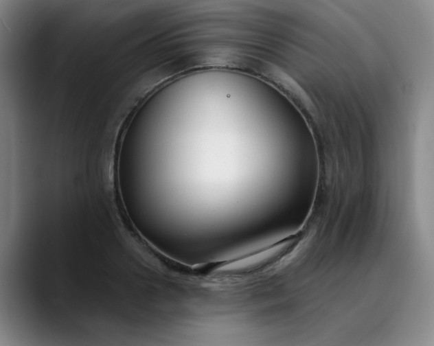 X0000089900938200707121847