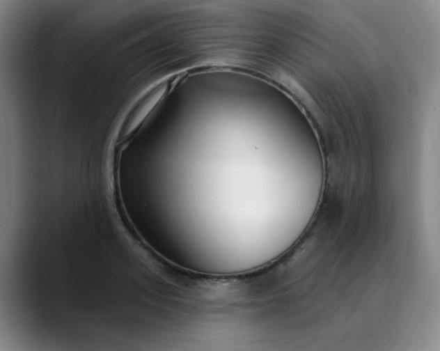 X0000089900939200707121847
