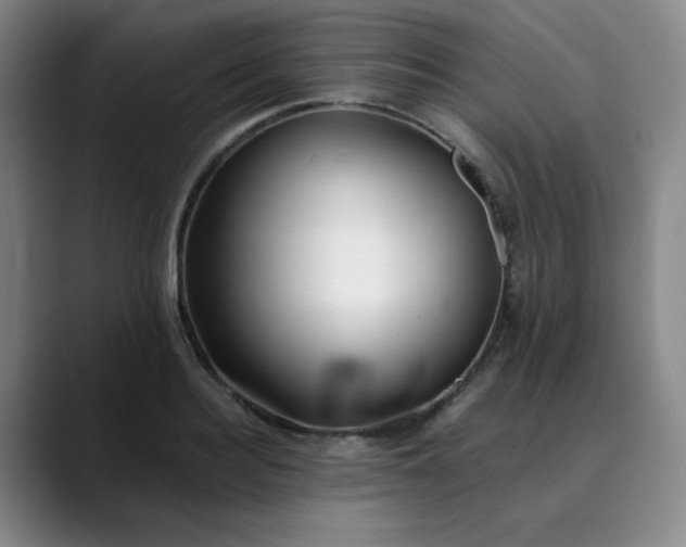 X0000089900940200707121847