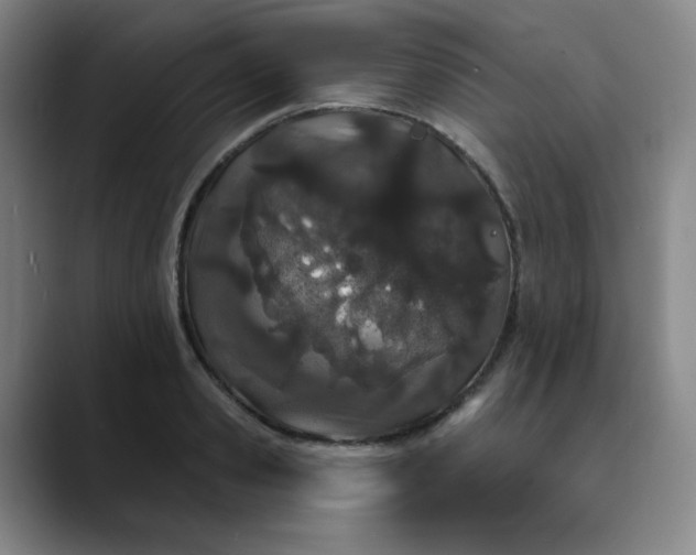 X0000089900941200707121847