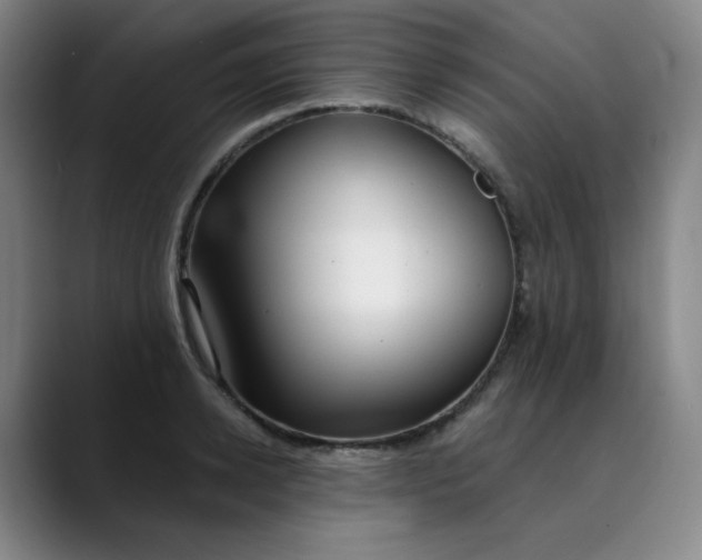 X0000089900942200707121847
