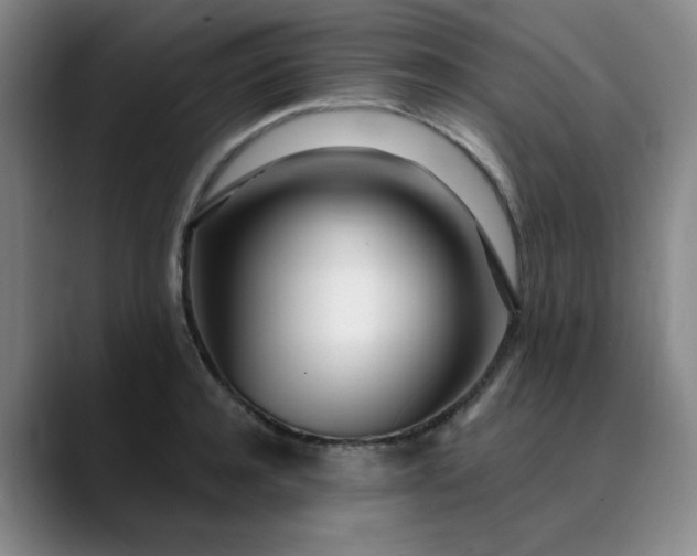 X0000089900944200707121847