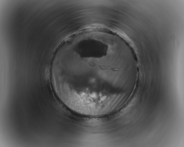 X0000089900945200707121847
