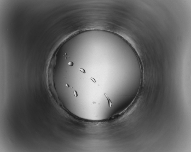 X0000089900949200707121847