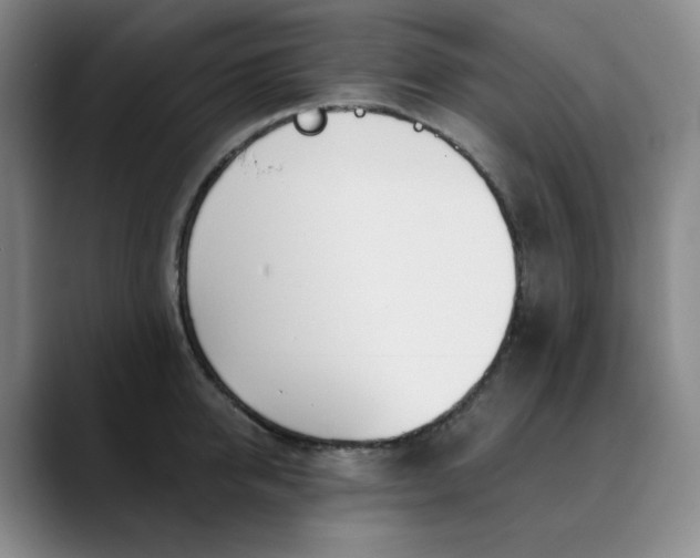 X0000089900950200707121847