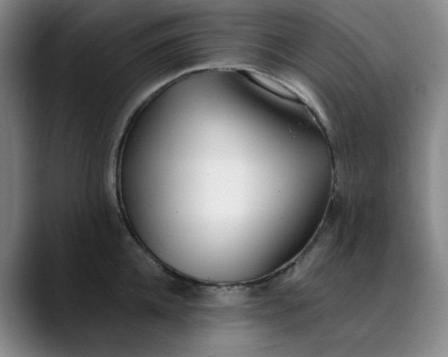 X0000089900952200707121847
