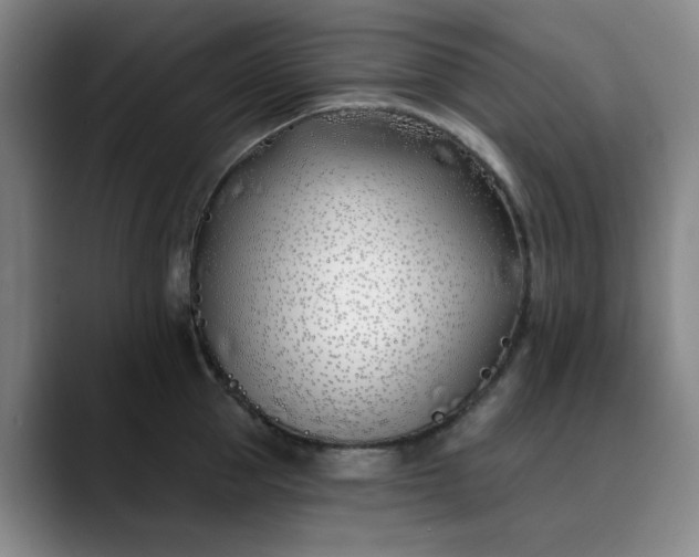X0000089900953200707121847