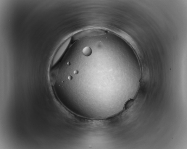 X0000089900958200707121847