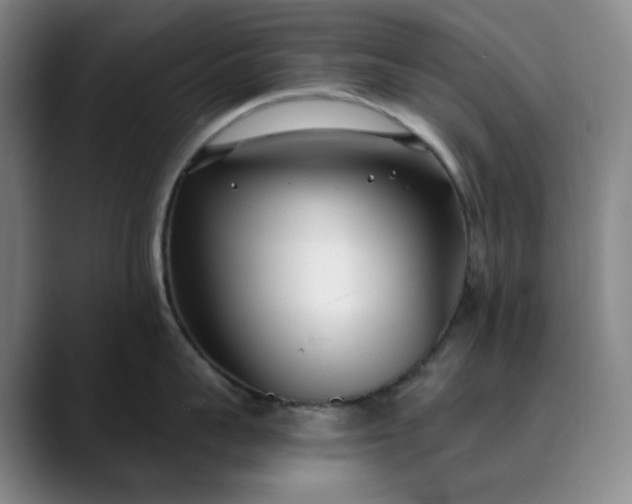 X0000089900959200707121847