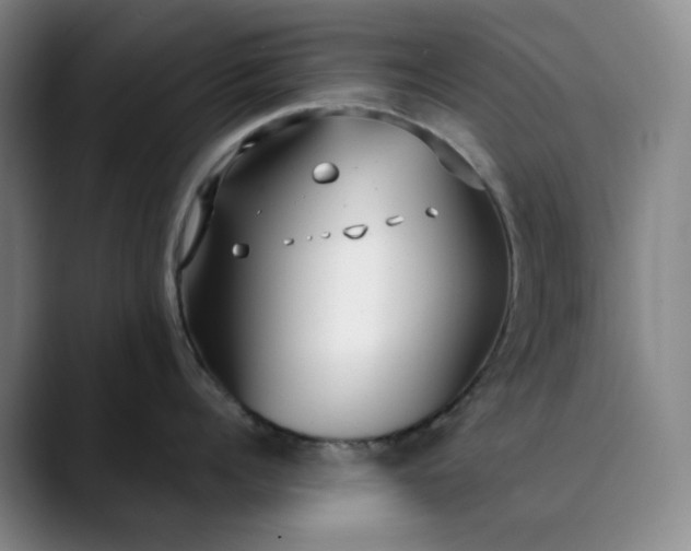 X0000089900960200707121847