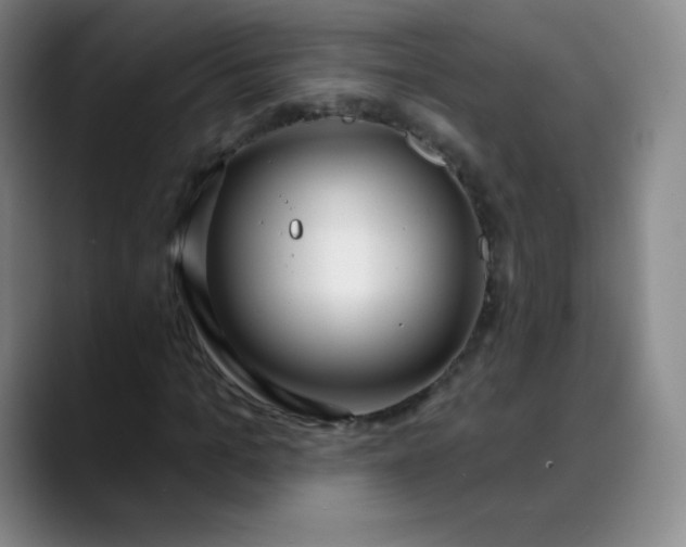 X0000089900965200707121846