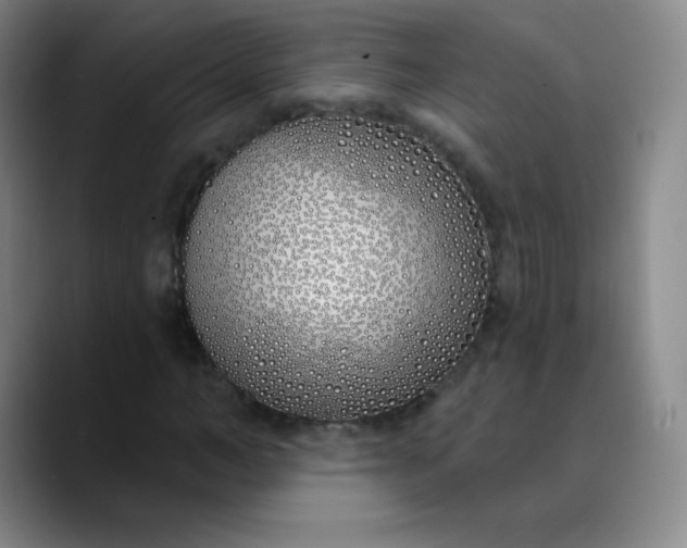 X0000089900966200707121846