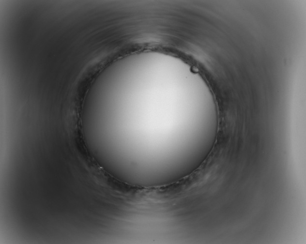 X0000089900967200707121846