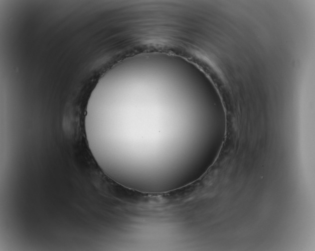 X0000089900968200707121846